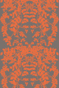 Colour Orange on Dark Grey