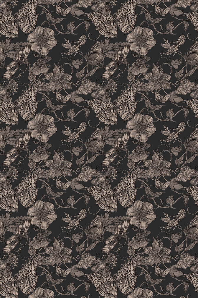 Papillon Wallpaper / image 1