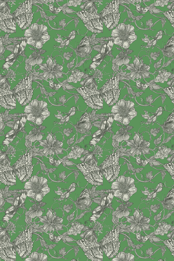Papillon Wallpaper / image 1